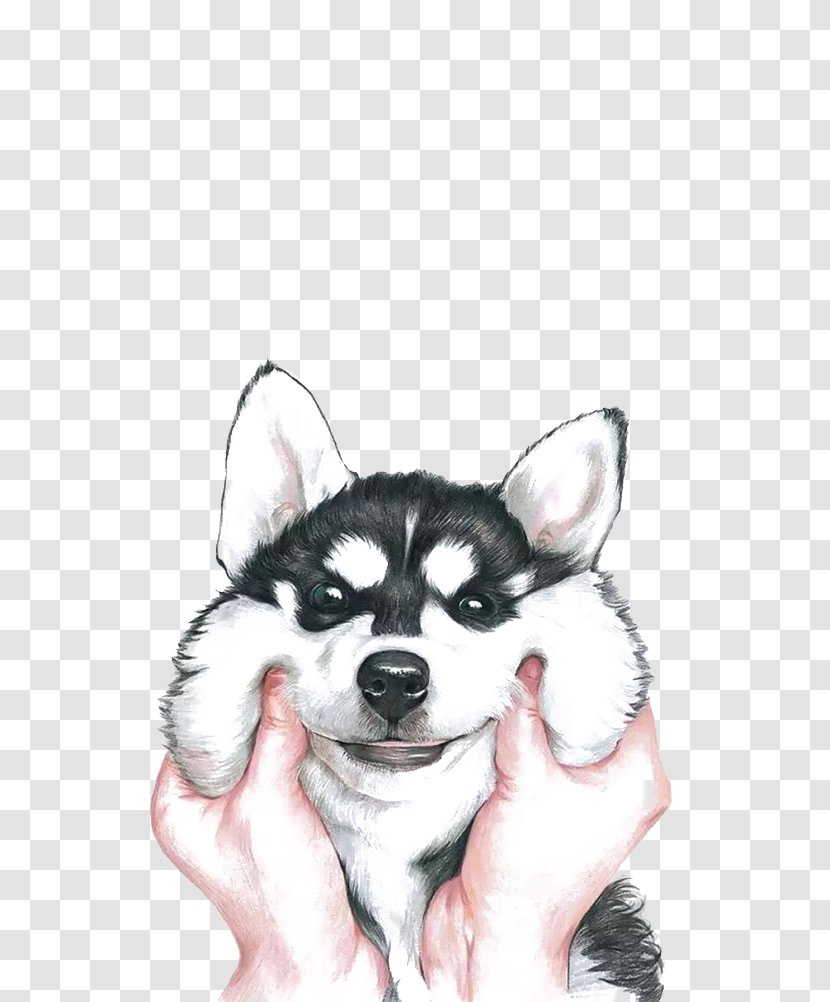Siberian Husky Drawing - Mobile Phone Accessories - Happy Transparent PNG
