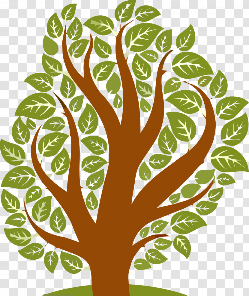 Green Leaf Tree Plant Woody Plant Transparent PNG