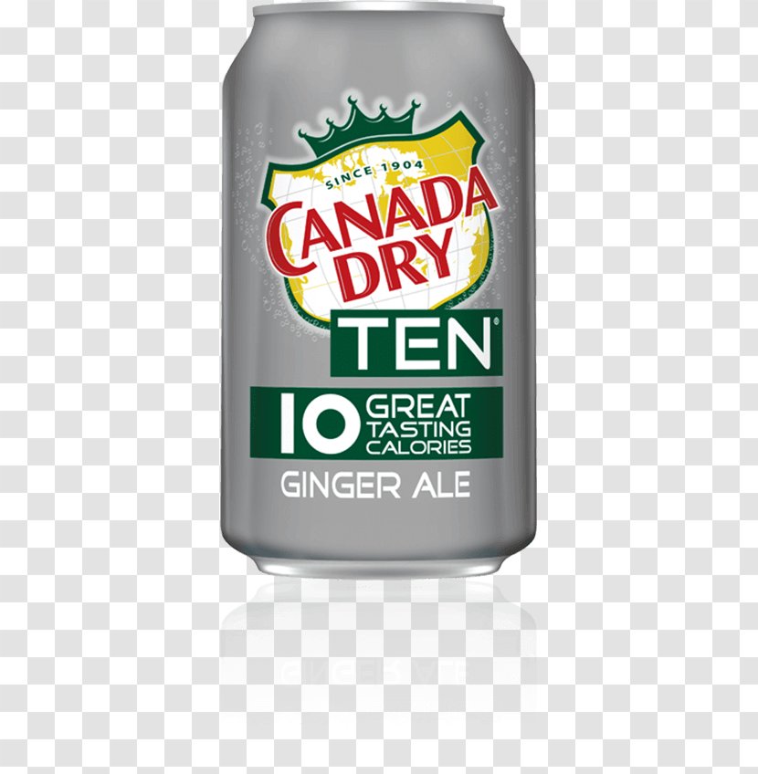 Ginger Ale Tonic Water Fizzy Drinks Carbonated Lemonade - Canada Dry - Thai Fried Rice Transparent PNG