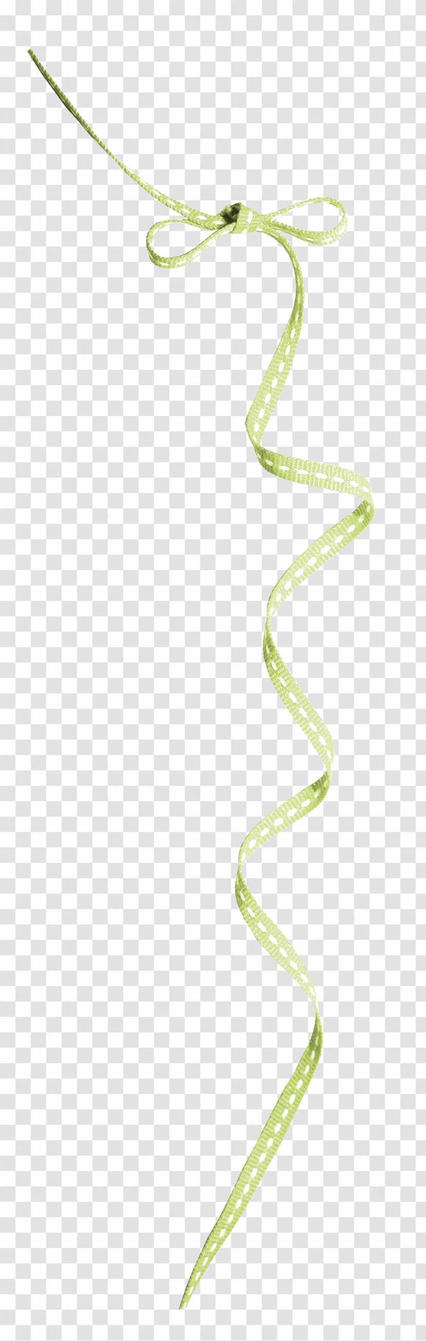 Rope Editing - Stereoscopy Transparent PNG