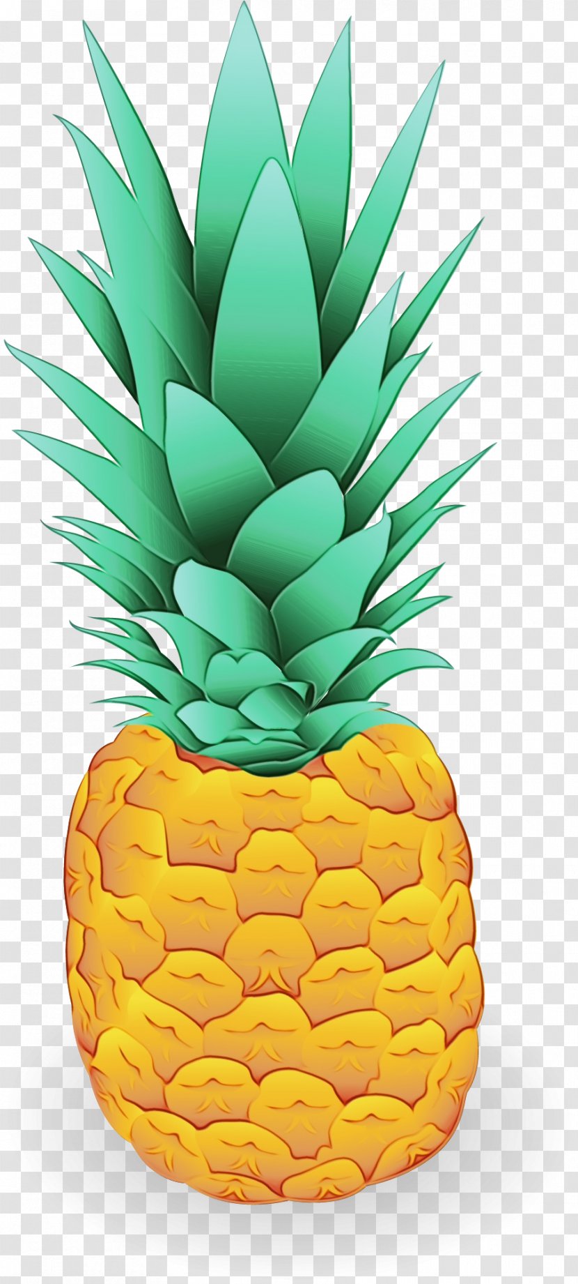 Pineapple - Watercolor - Vegan Nutrition Natural Foods Transparent PNG