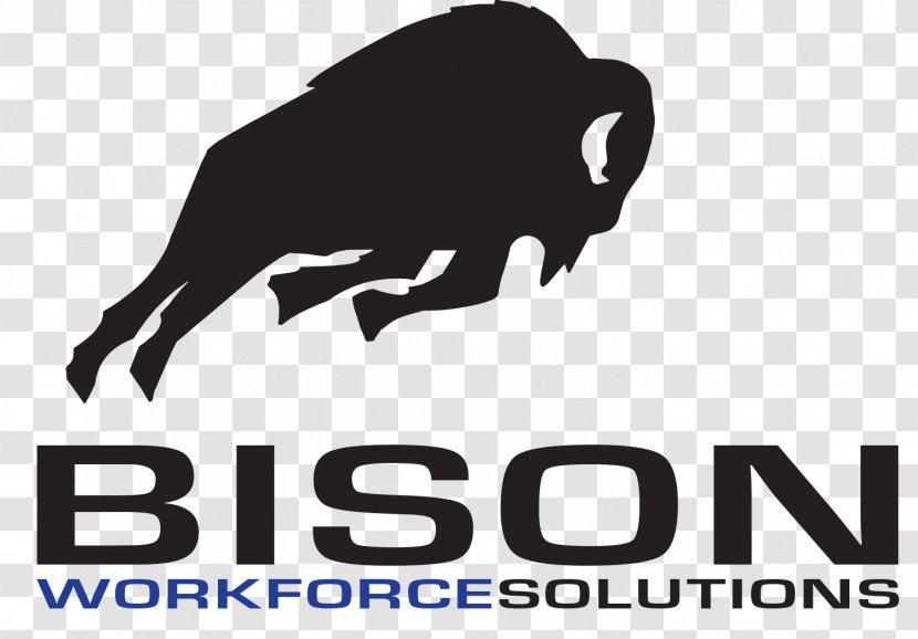 Management Employment Company Service Professional Employer Organization - Bison Transparent PNG