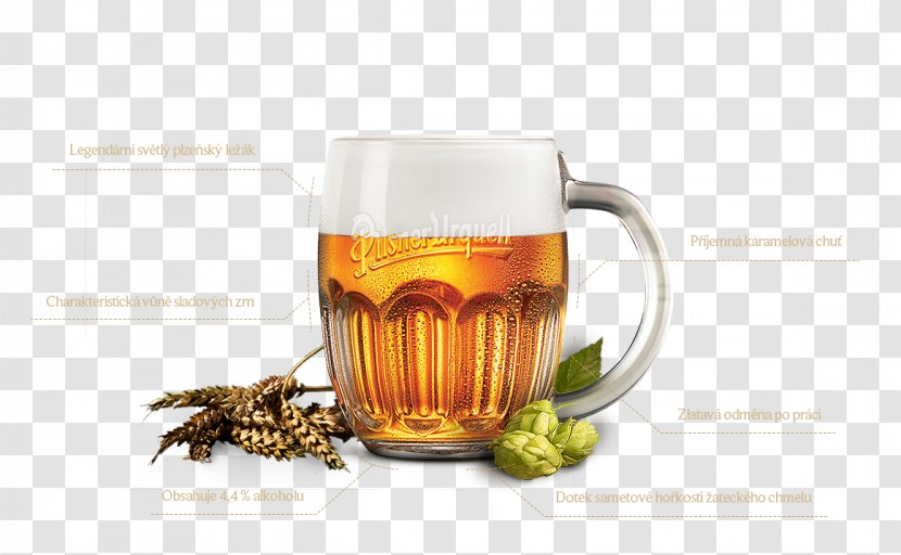 Beer Pilsner Czech Cuisine Пилзнер Drink - Taste Transparent PNG