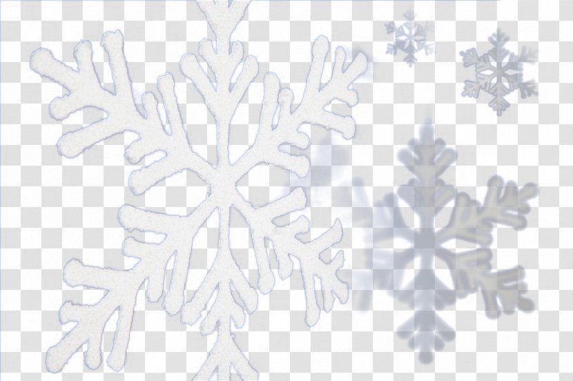 Black And White Download - Snowflake - Snow Transparent PNG