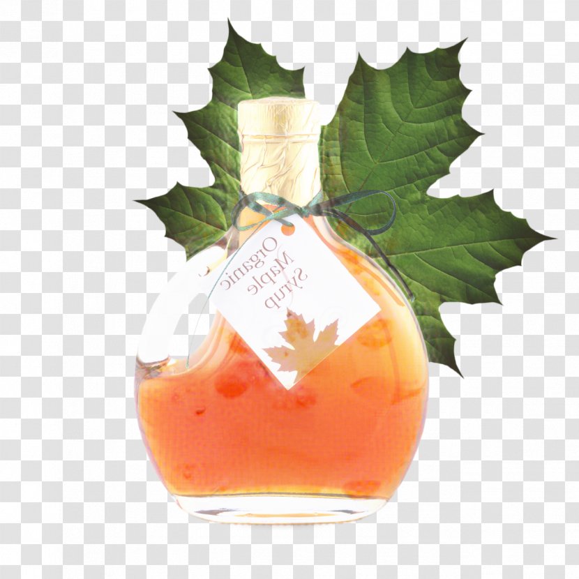 Summer Beverage - Drink - Holly Liquid Transparent PNG