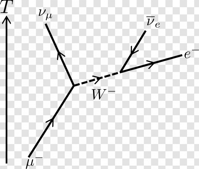 Muon Feynman Diagram Lepton Subatomic Particle - Branch - Caries Transparent PNG