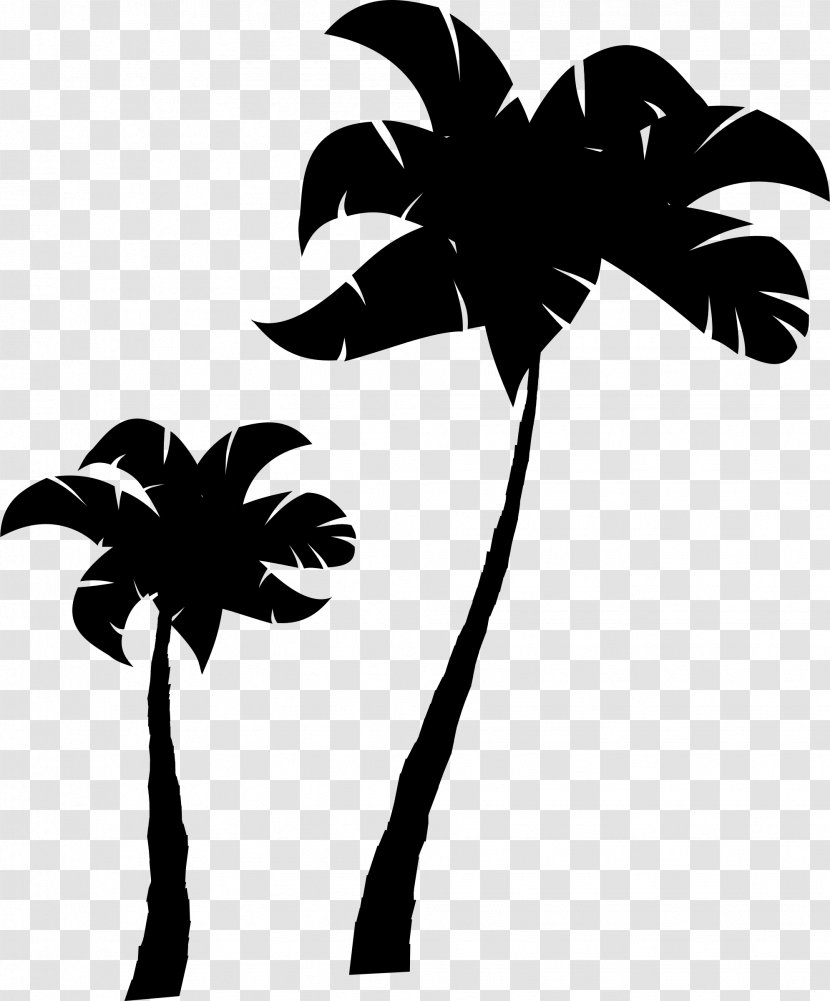 Palm Trees Clip Art Sticker Branch - Arecales Transparent PNG