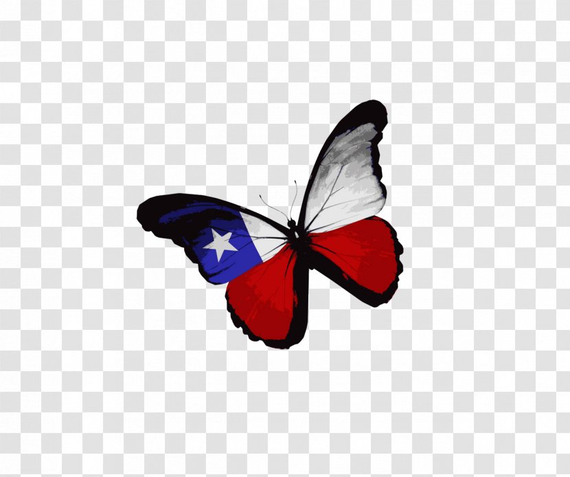 Flag Of Texas The United States Oman Stock Photography - Butterfly Transparent PNG