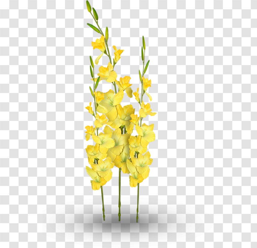 Floral Design Cut Flowers Plant Stem - Yellow - Flower Transparent PNG