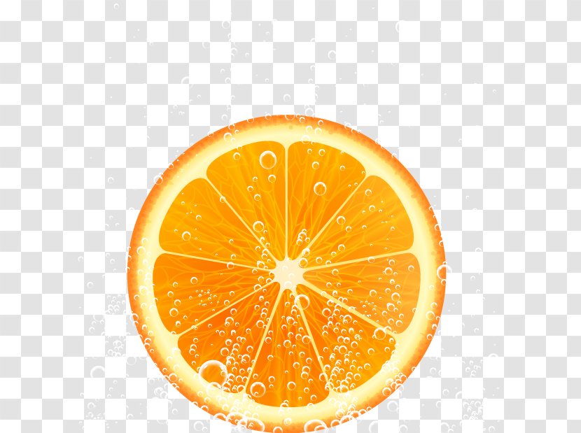 Orange Juice Lemon Grapefruit - Lime - Fresh Fruit Vector Material Transparent PNG