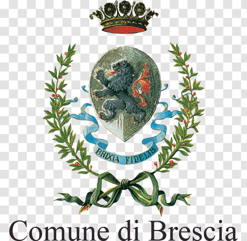 Corte Franca Scaip Brescia Medicus Mundi Voluntary Association - Branch - VanGogh Transparent PNG