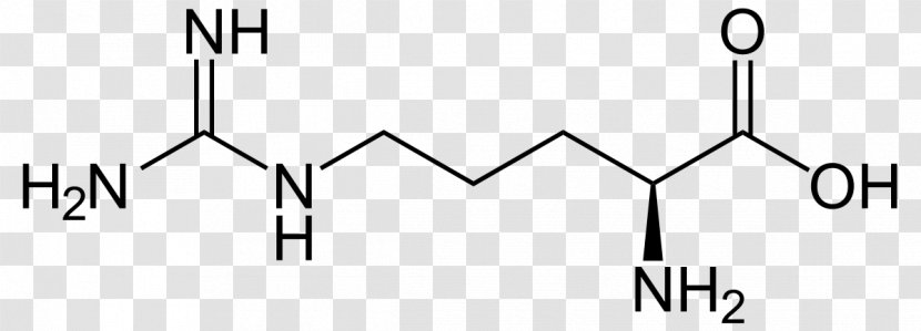 Arginine Citrulline Amino Acid Structure - Technology - Alphaketoglutarate Transparent PNG