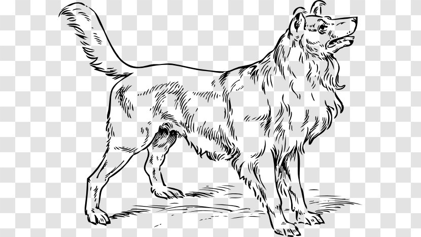 Rough Collie Puppy Bark Clip Art - Cat Like Mammal - Giant Dogs Cliparts Transparent PNG