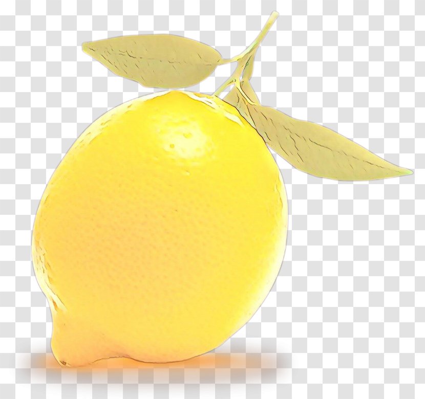 Yellow Fruit Lemon Food Plant - Citrus Meyer Transparent PNG