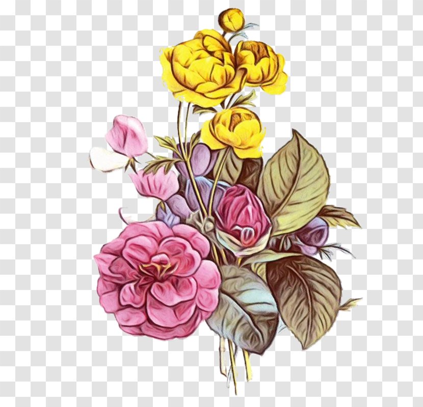 Watercolor Flower Background - Petal - Rose Order Camellia Transparent PNG