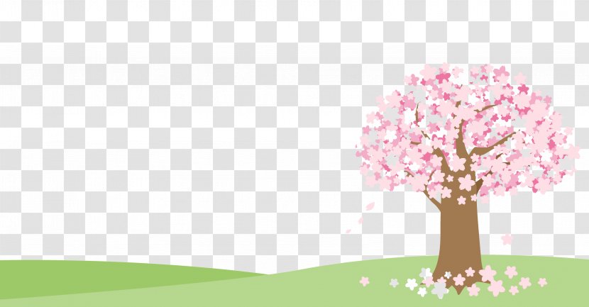 Cherry Blossom Hanami Illustration - Petal - Beautiful Tree Transparent PNG