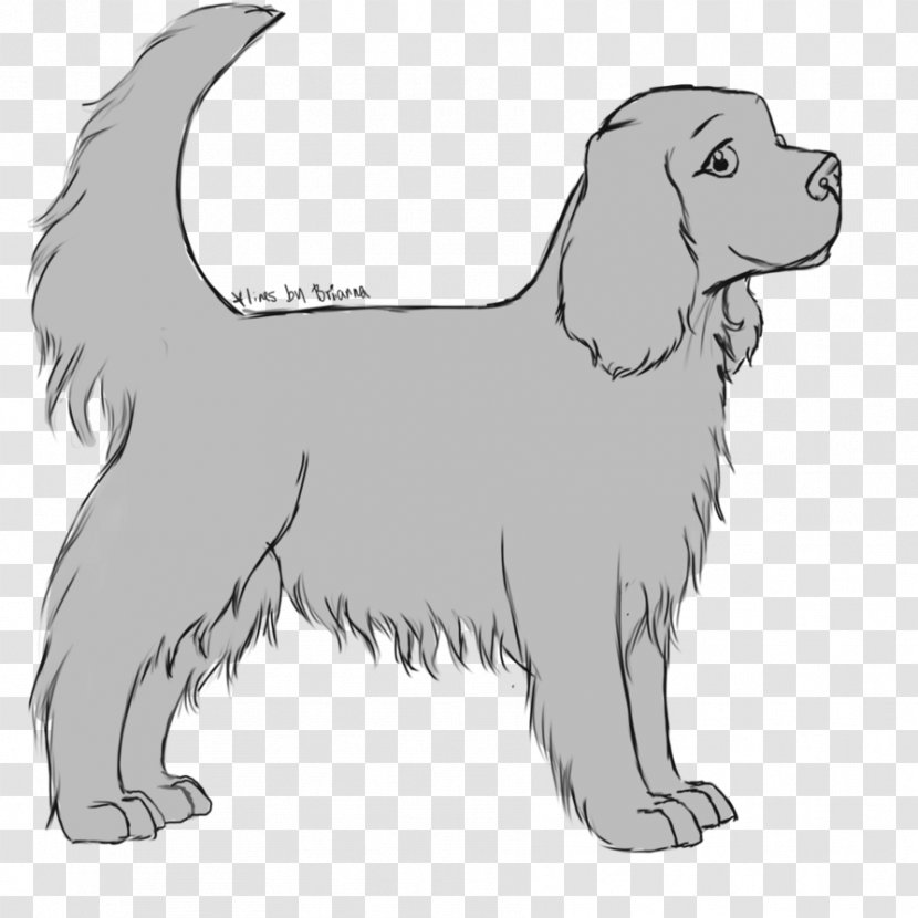 Dog Breed Puppy Retriever Sporting Group Spaniel - Like Mammal Transparent PNG