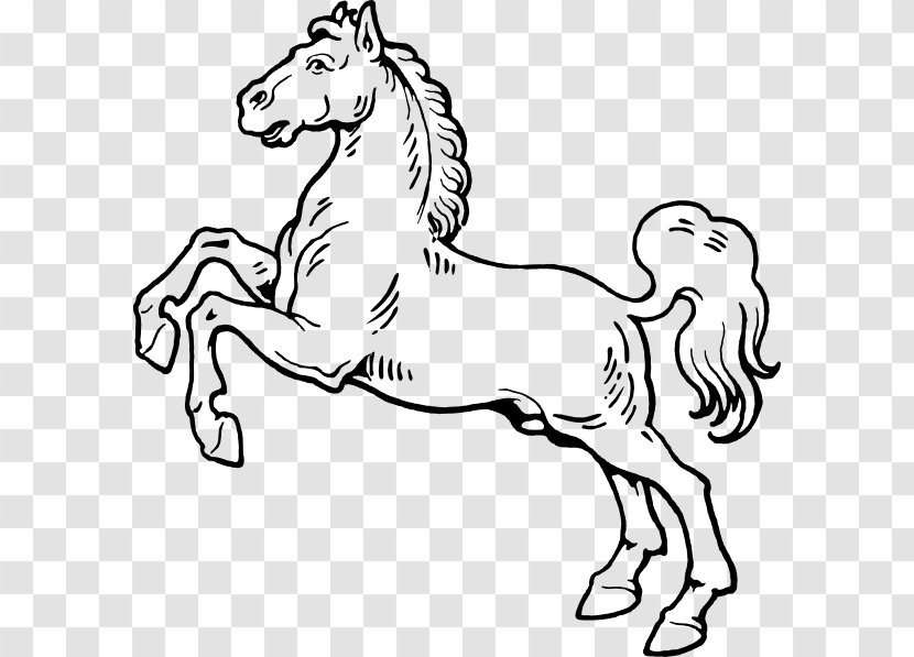 Mustang Equestrian Collection Bronco Clip Art - Wildlife Transparent PNG