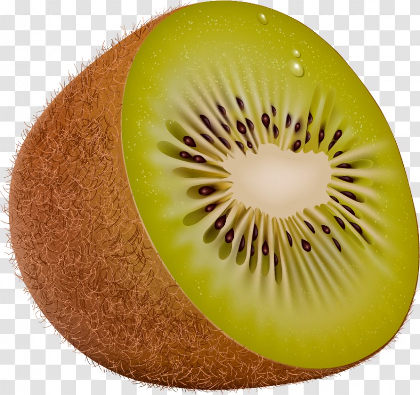 Kiwifruit Clip Art - Galia - Fruit Transparent PNG