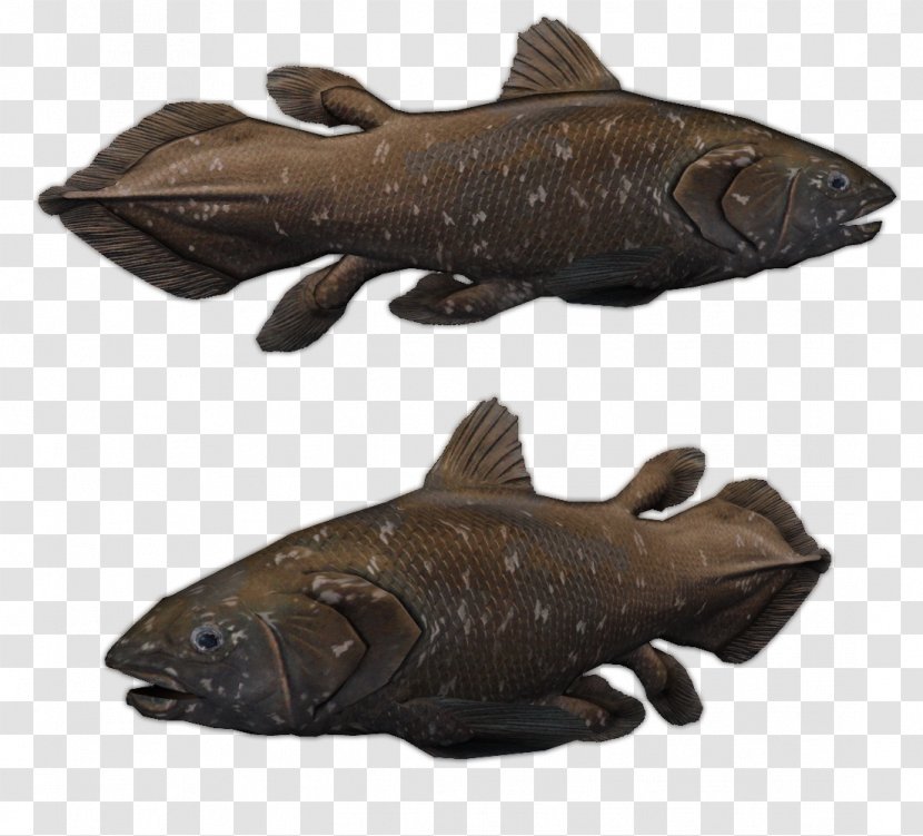 Zoo Tycoon 2 Indonesian Coelacanth Manado - North Sulawesi Transparent PNG