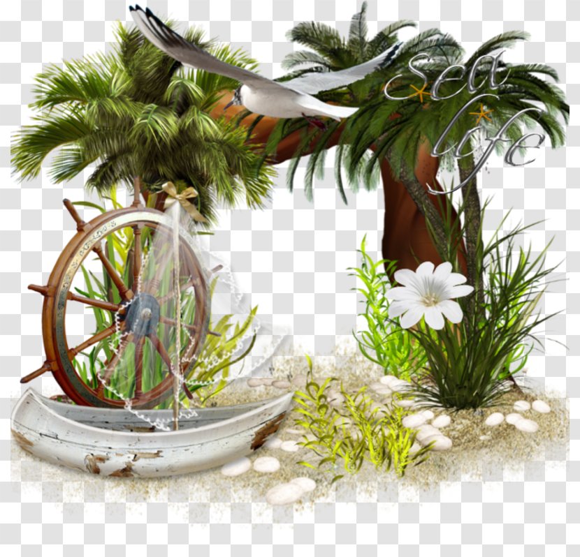 Photomontage Picture Frames Photography Blog - Houseplant - Evergreen Transparent PNG