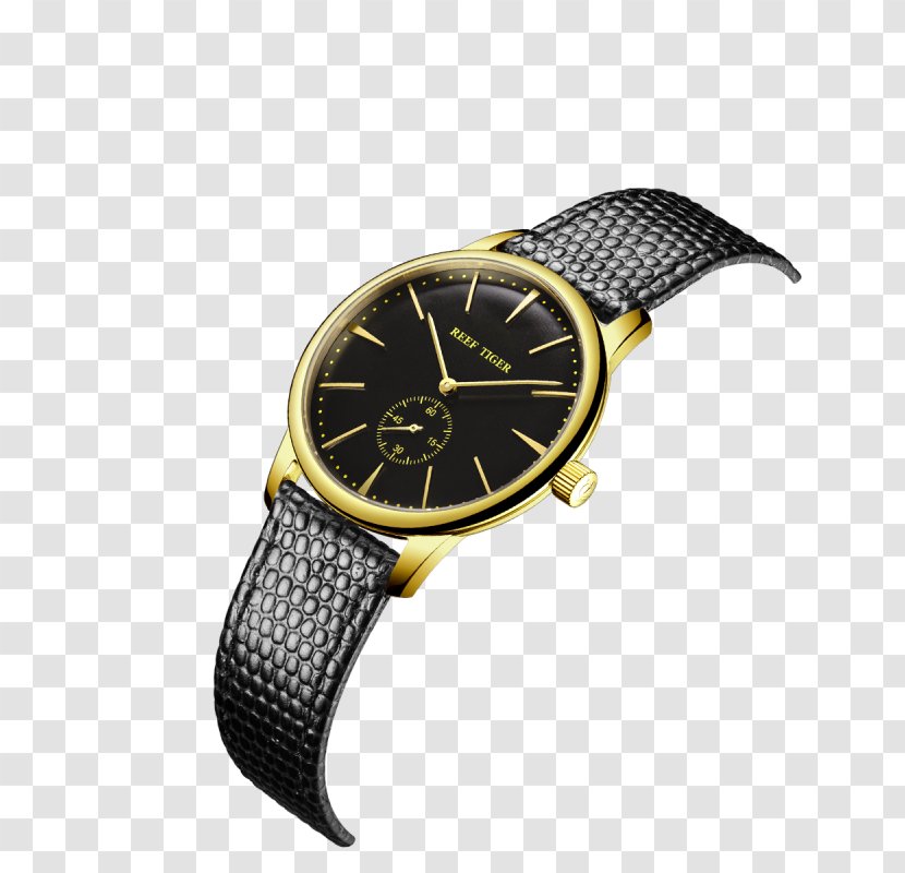 Watch Strap Tiger Patek Philippe & Co. Clock Transparent PNG