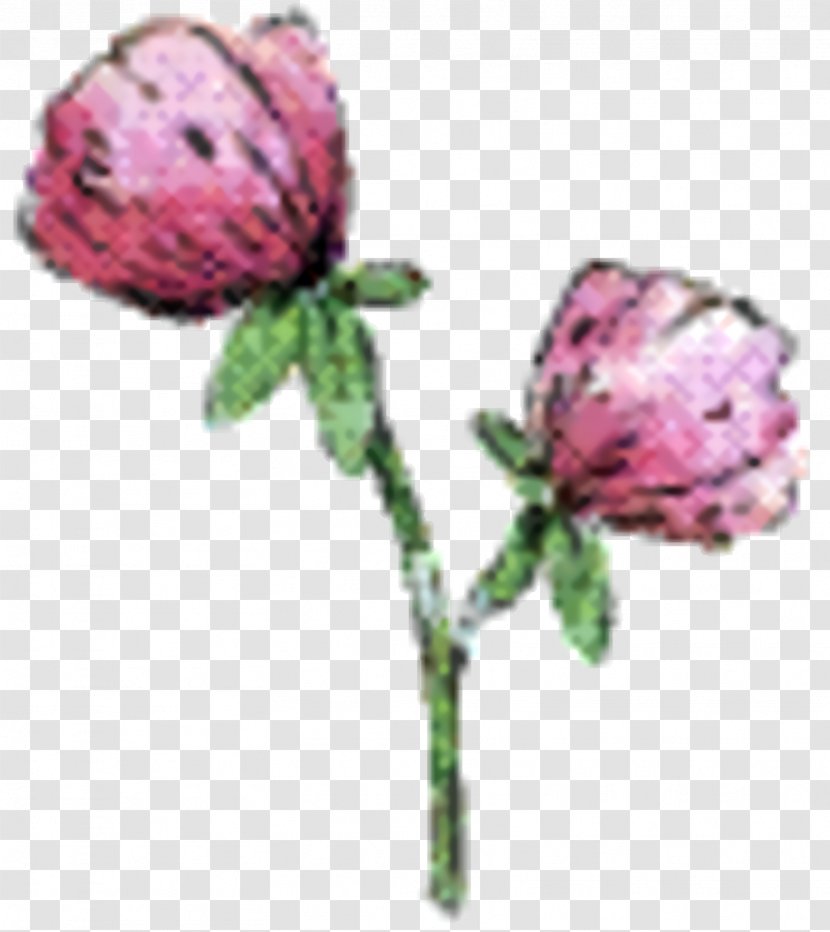 Pink Flower Cartoon - Petal - Plant Stem Transparent PNG