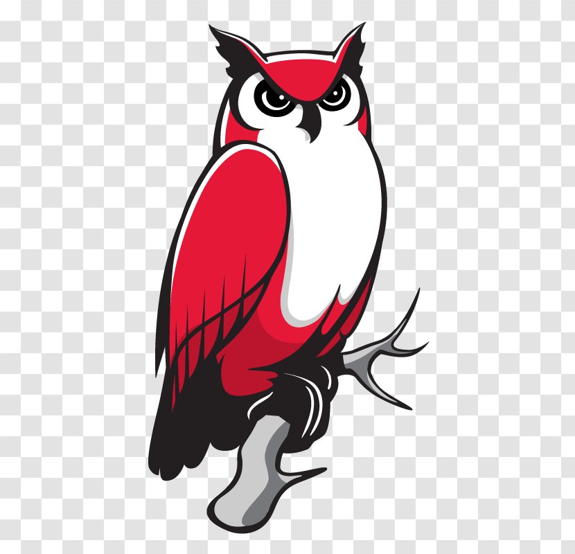 Owl Keene State College Kennesaw University Clip Art - Owls Transparent PNG
