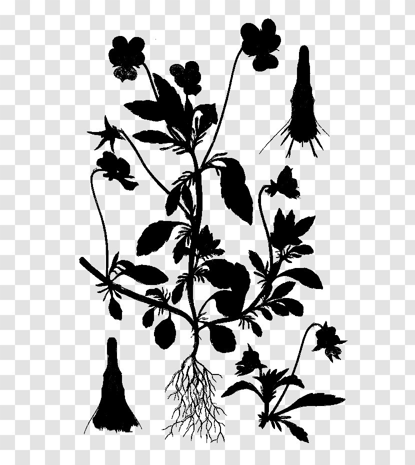 Twig Plant Stem Flower Leaf Pattern - Branch - Silhouette Transparent PNG