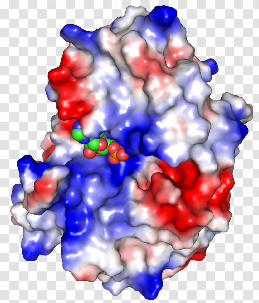 Art Enzyme Author Candy Molecule - E.colu Transparent PNG