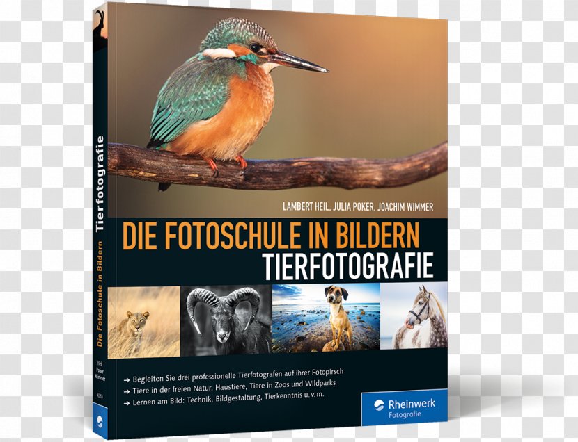 Die Fotoschule In Bildern. Tierfotografie Germany Wildlife Photography Wildlife-Fotografie: Frei Lebende Tiere Deutschland Und Europa Fotografieren - Beak - Book Transparent PNG