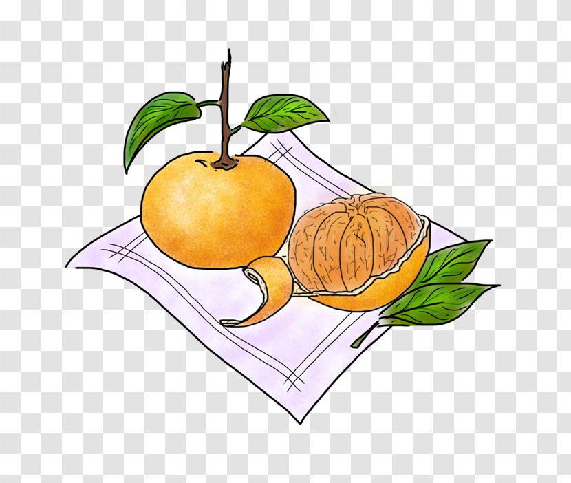 Vegetarian Cuisine Food Balsamic Vinegar Apple Fruit - Orange - Tangerine Transparent PNG