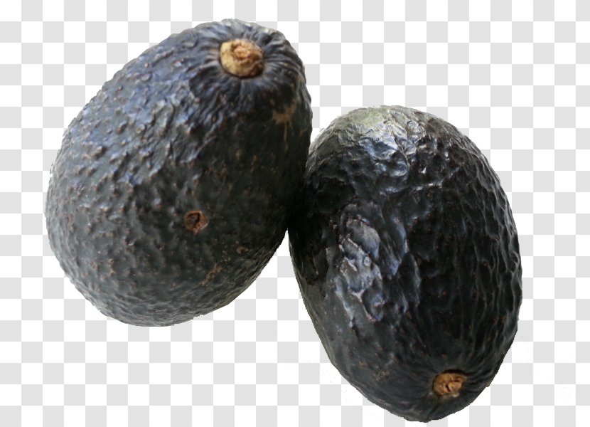 Avocado Fruit Food Pear - Mango - Black Transparent PNG
