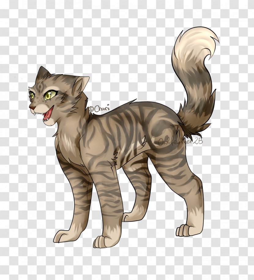 Whiskers Kitten Domestic Short-haired Cat Tabby Wildcat - Like Mammal Transparent PNG