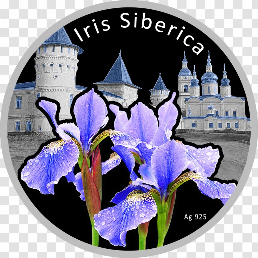 Irises Silver Coin Niue - Flower - Tobolsk Kremlin Transparent PNG