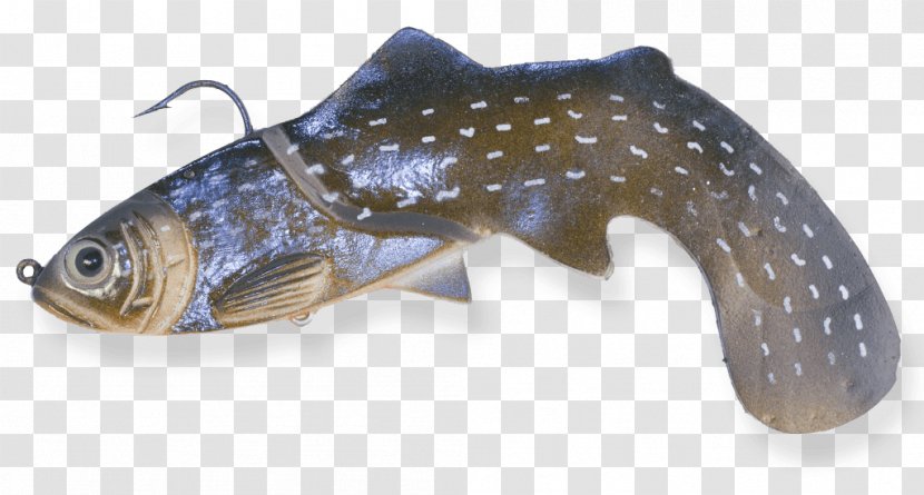 Trophy Technology Placekicker Fish Transparent PNG