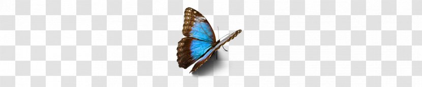 Catching Courage: Understand Your Fears, Control Anxieties, And Make Better Decisions - Body Jewelry - Use Obstacles To Benefit Butterfly Effect Jewellery BookLife Is Strange Transparent PNG