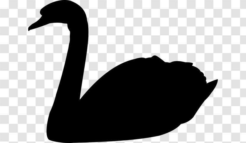 Mute Swan Black Vector Graphics Bird Clip Art - Animal - Swimming Duck Silhouette Flying Transparent PNG