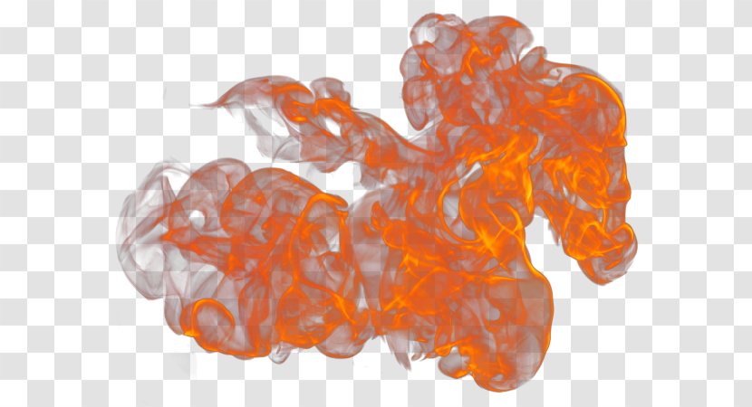 Organism - Orange Transparent PNG