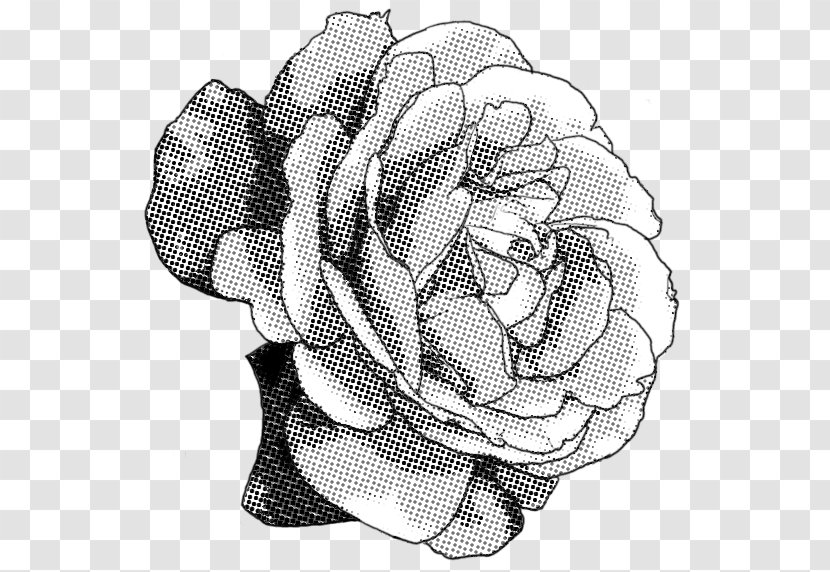 Black And White Rose Drawing - Tree Transparent PNG