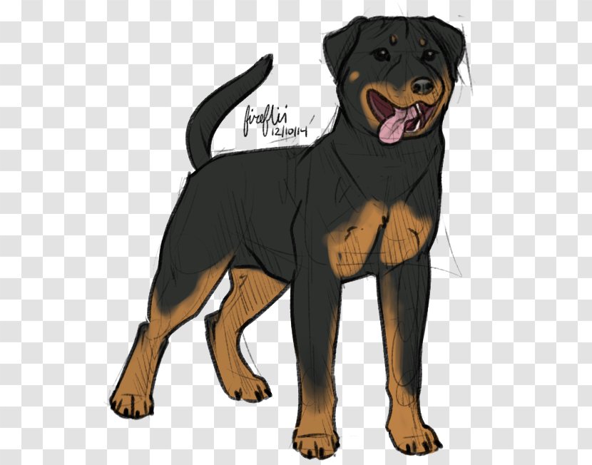 Rottweiler Puppy Dog Breed Chicken Snout - Razas Nativas Vulnerables Transparent PNG