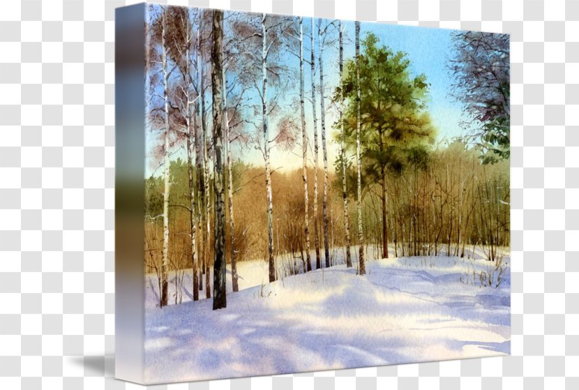 Birch Painting Biome State Park Wood - Snow - Winter Forest Transparent PNG