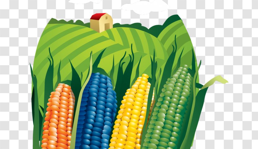 Vector Graphics Clip Art Corn Agriculture - Clipart Download Transparent PNG