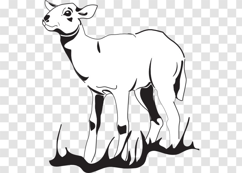 Sheep Agneau Goat Lamb And Mutton - Cartoon Grass Transparent PNG