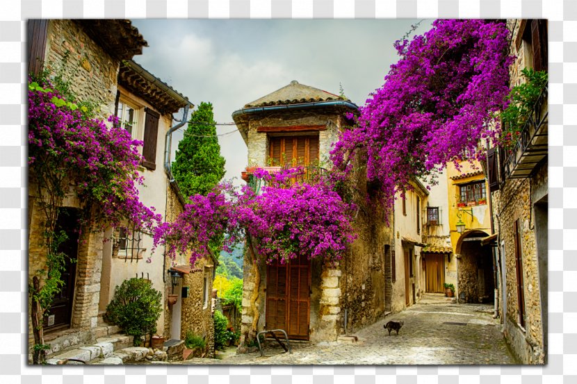 Les Baux-de-Provence Aix-en-Provence Lavander Field Istres Saint-Rémy-de-Provence - Tourism - Purple Transparent PNG