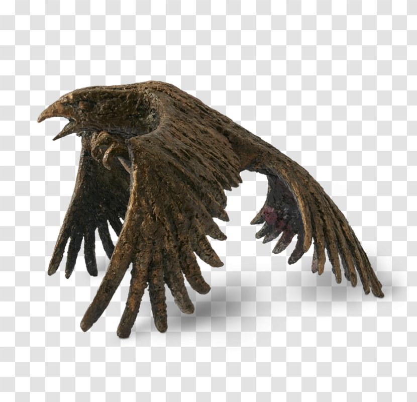 Eagle Beak Hair Resin Wife Transparent PNG