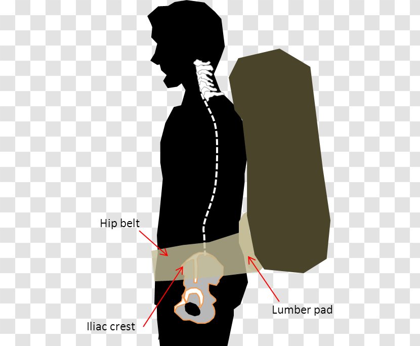 Shoulder Human Back Pelvis Handbag - Correlation And Dependence - Art Transparent PNG