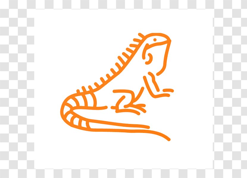 Green Iguana Lizard Coloring Book Drawing Image - Child Transparent PNG