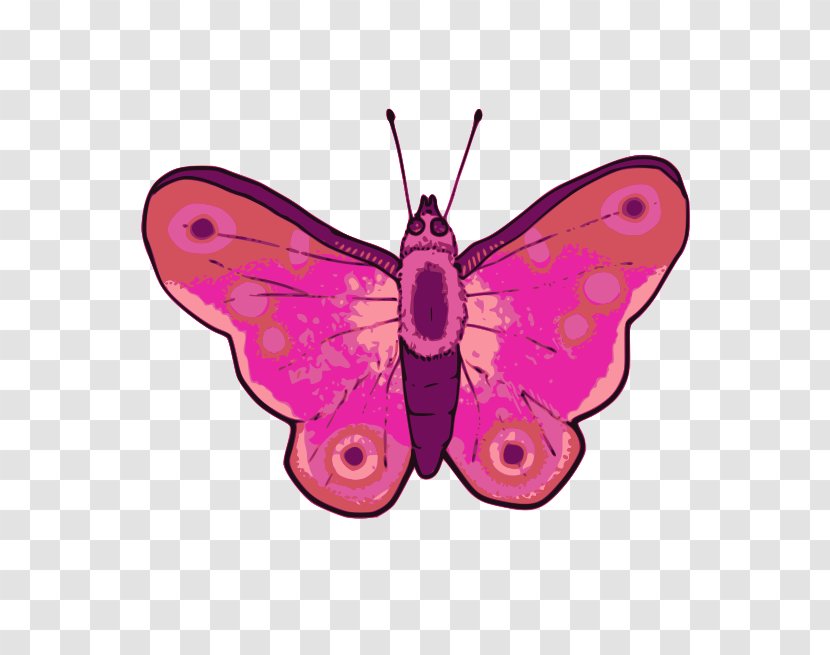 Butterfly Clip Art - Line Transparent PNG