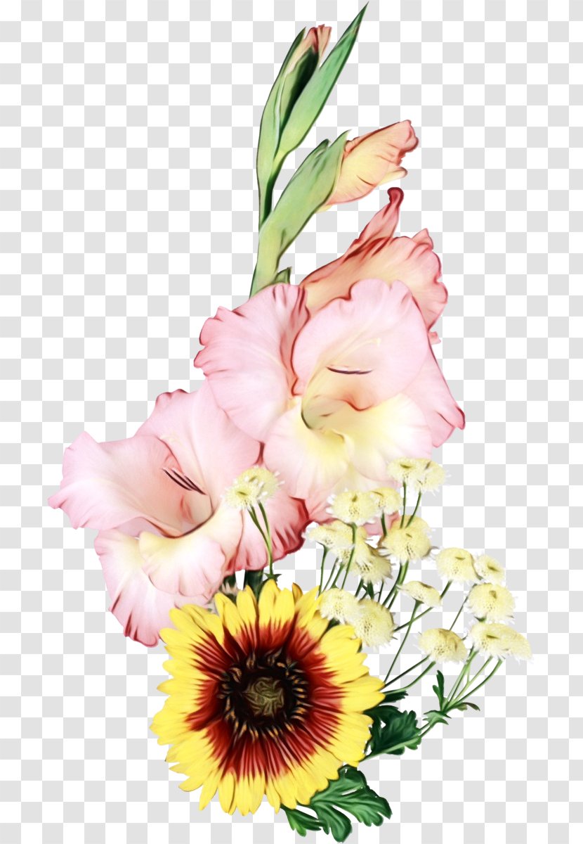 Gladiolus Flower Bouquet Floral Design Chrysanthemum - Bulb - Birth Transparent PNG